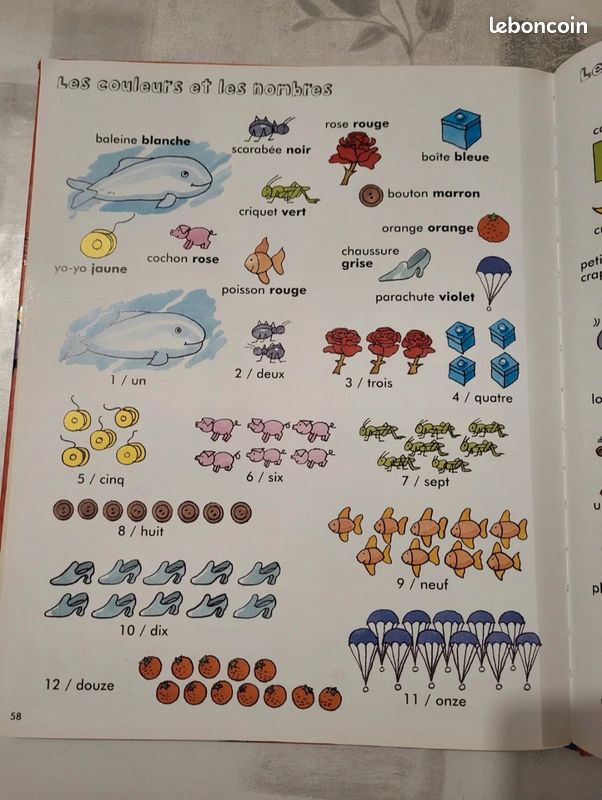 Livre Mes 1000 premiers mots en images (image 5)