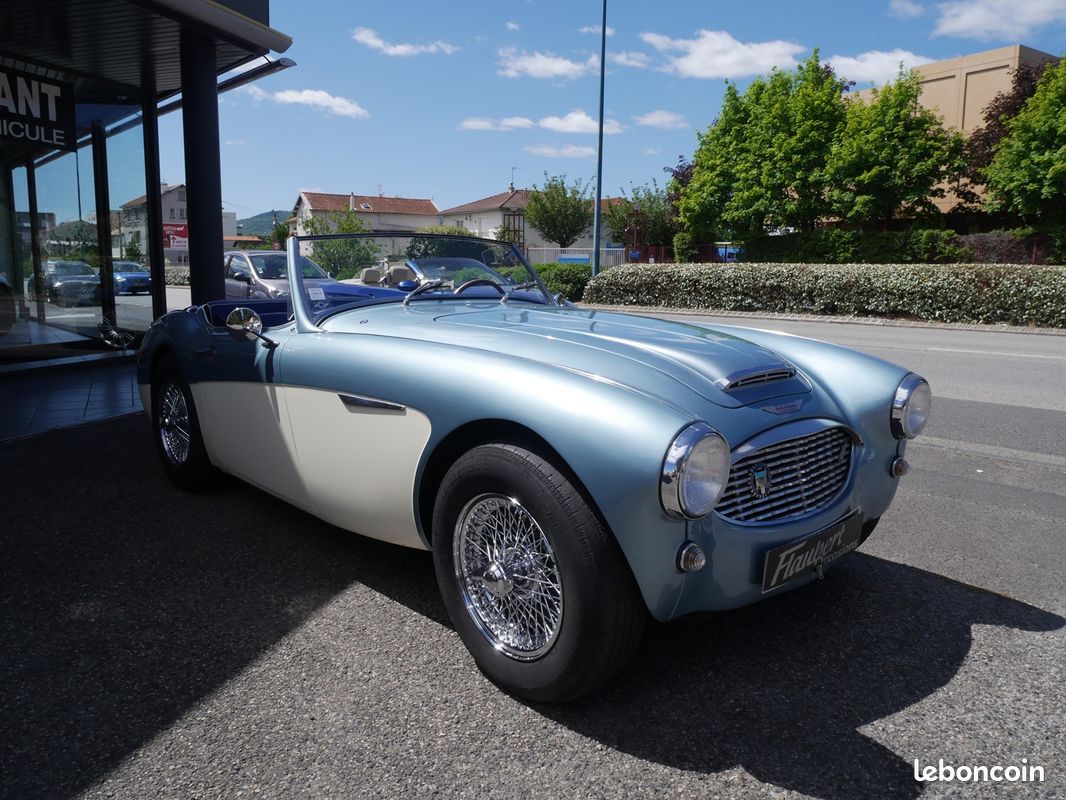 Austin AUSTIN HEALEY 3000 2.9 BJ7 MK 2A (image 13)