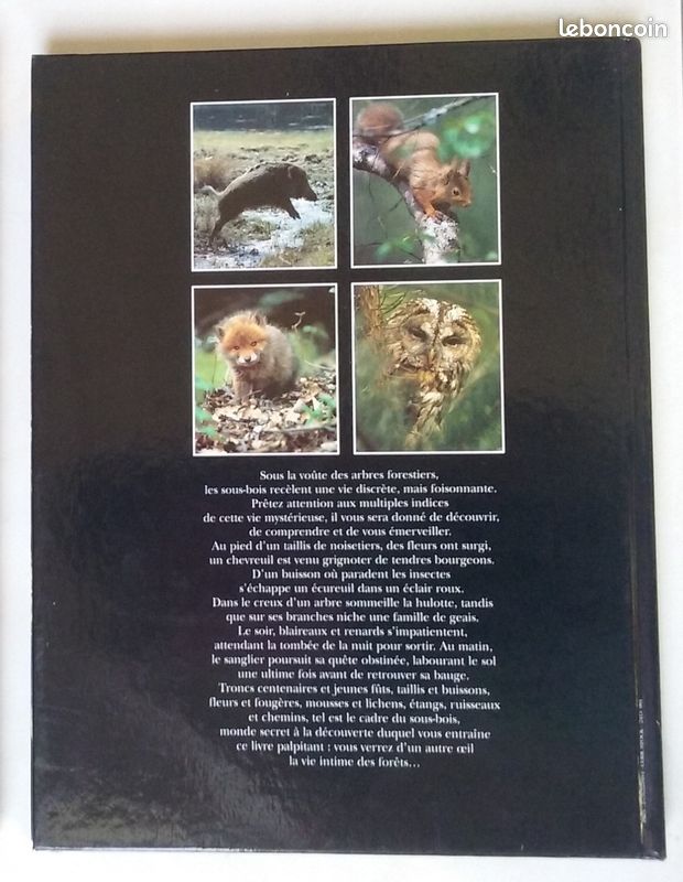 Beau Livre La Vie cachée des sous-bois (image 4)