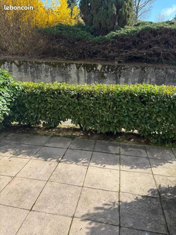 Appartement 3 pièces 67 m² · à Amplepuis · 67 m² · 498 €/mois