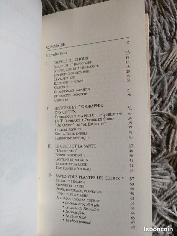 Chroniques du potager - Les choux (image 4)