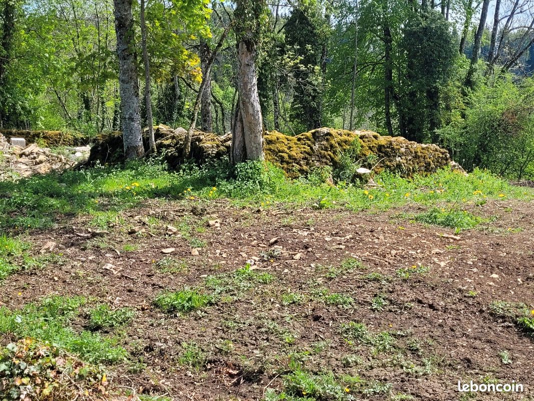 Muret en pierre (image 3)