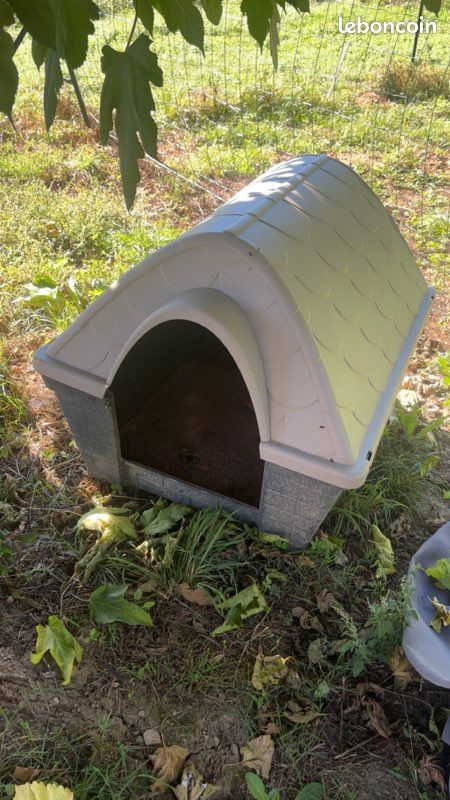 Niche chien (image 2)