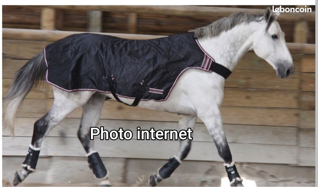 Equitation Decathlon Marcheur Couverture De Marcheur Pour Cheval