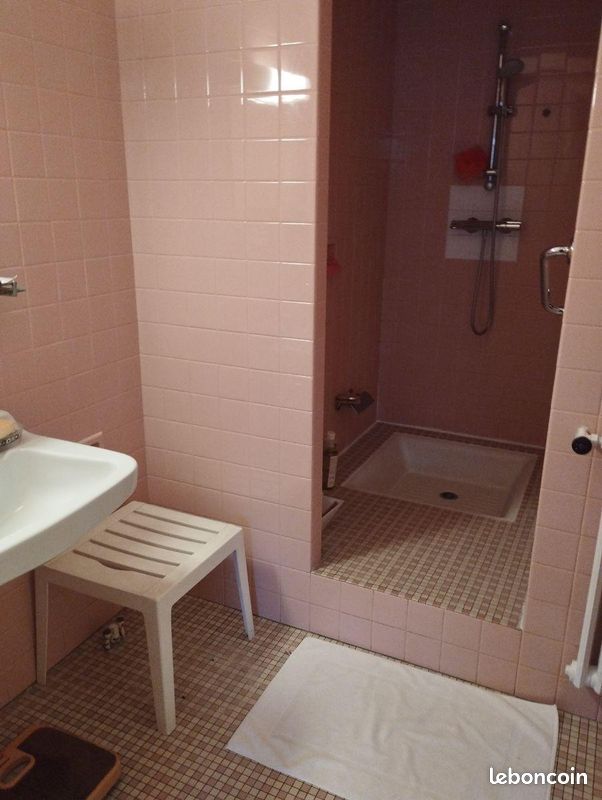 Appartement 8 pièces 172 m² - Limoges 87000 (image principale 11)