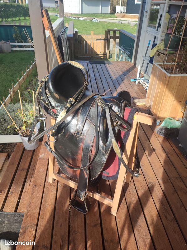 Selle Australienne En Cuir - Ailes Pivotantes Et Rinch Avant/arrière - Neuve Inde