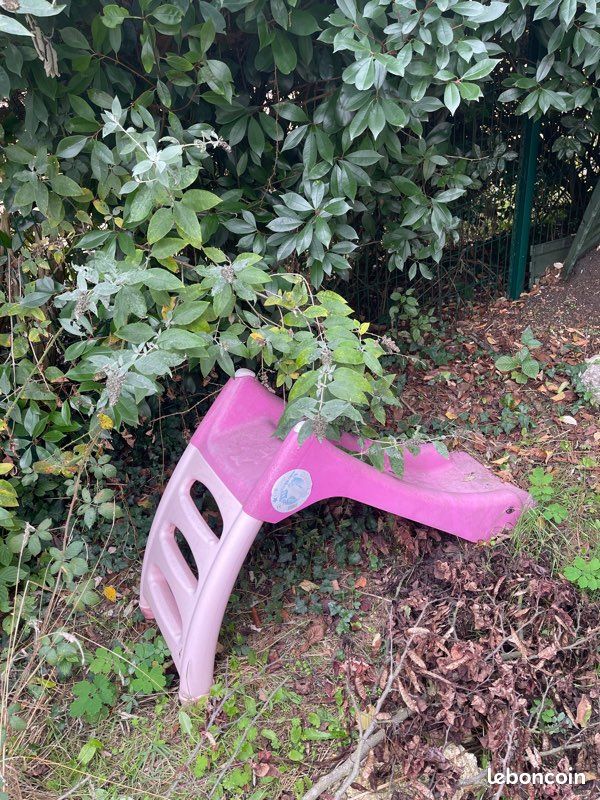 Toboggan rose de jardin (image 1)