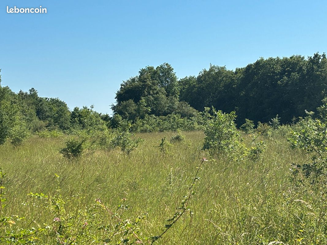 Propriété 2 pièces 50 m² (image 6)