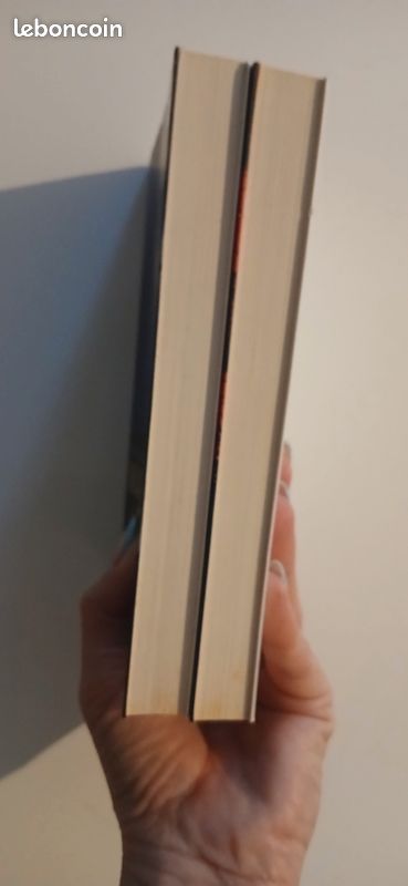 Lot 2 livres de Alexia GAÏA "le marchand de sable" tome 1 et 2 format poche (image 4)