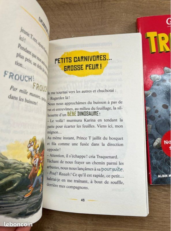 Geronimo stilton (image 2)