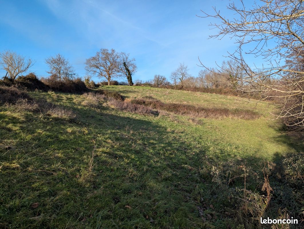 Terres Prairie Terrain en friche