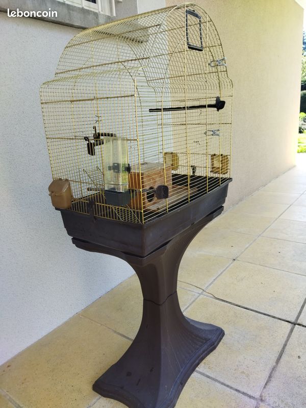 Cage oiseaux (image 2)