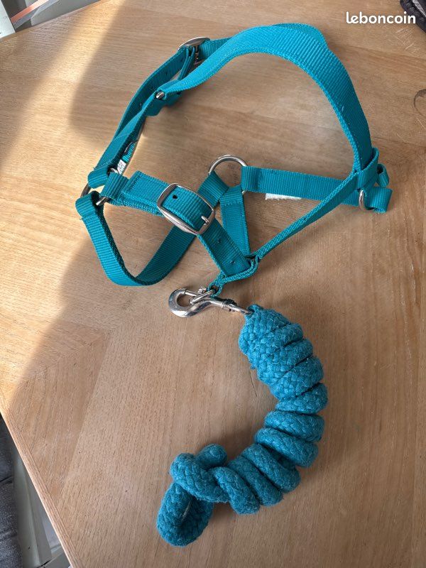 Longe +corde (équitation) (image 1)