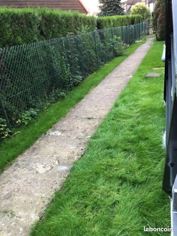 Location maisonnette avec jardin (image 5)