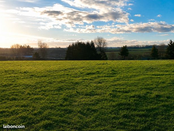 Terrain 1 000 m² Richemont