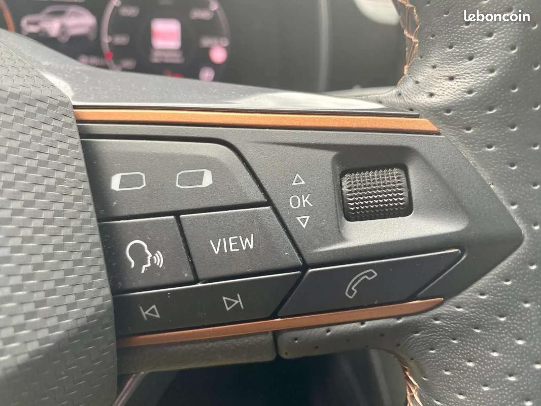 Cupra Formentor 2.0 TDI 150 ch Business Edition / camera carplay (image 12)