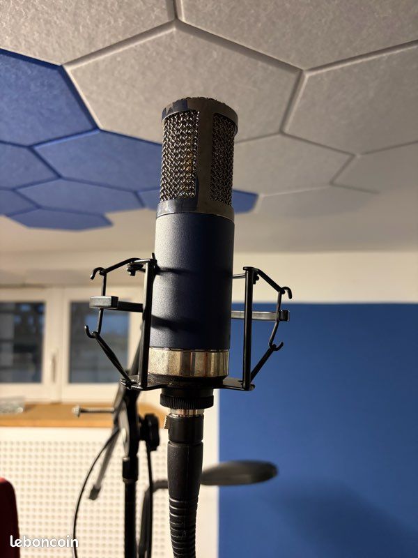 Micro de studio Telefunken TF11 FET condensateur microphone vocal FET Carnhill (image 6)