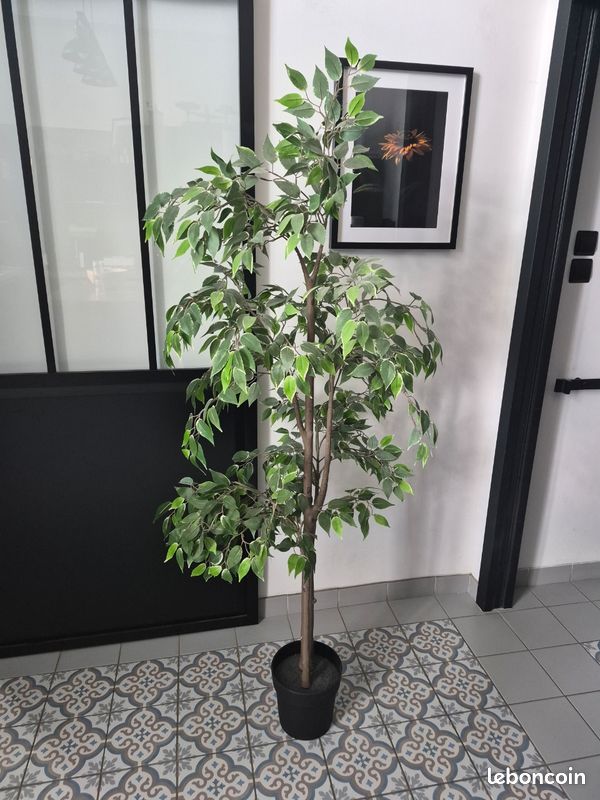 Fausse plante - Dcoration