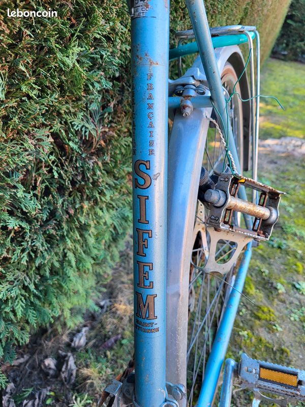 Tirage Argentique Vintage Forêt De La Coubre – Charente Maritime – Vélo – Circa 1913