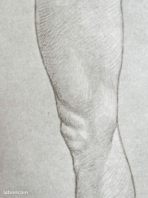 Formes extérieures Jambe #4 - Gravure ancienne originale d'anatomie - Dr.Richer (1890) - PL 86 (image 3)