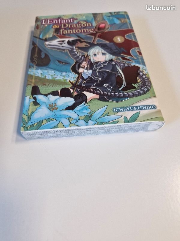 L'enfant du dragon fantôme tome 1 (image 2)