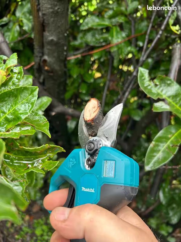 WEIWAN Sécateur électrique Sans Fil Professionnel Léger Ergonomique 1kg