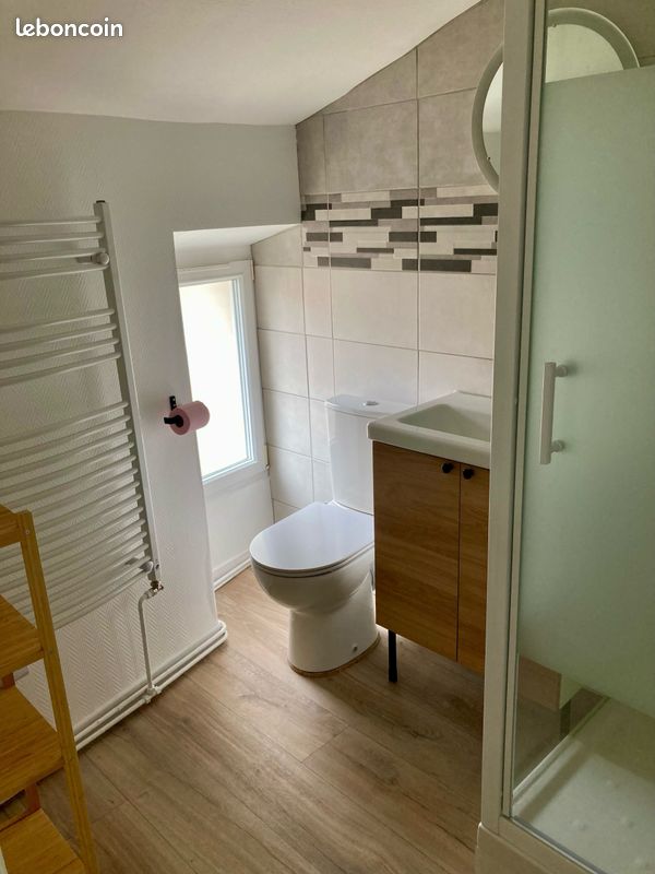 T1 meuble axe centre ville fac - Poitiers 86000 (image principale 2)