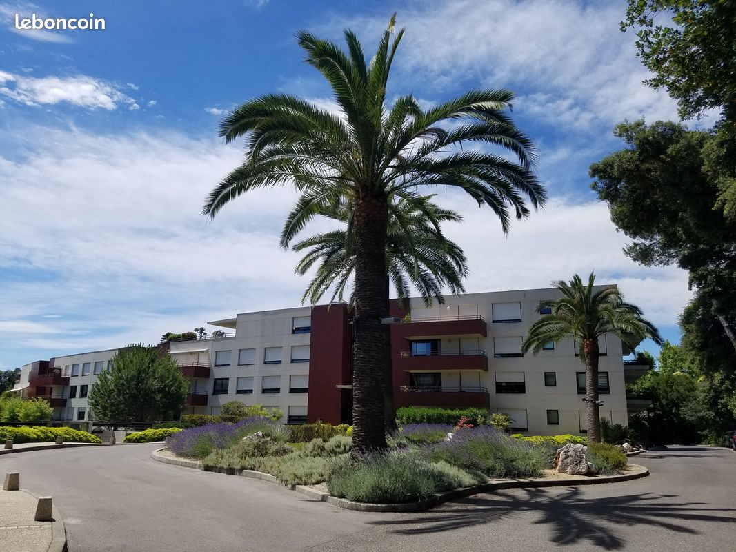PROMOTION T2 à 15 min de la plage dans joli parc centre Montpellier (image 7)