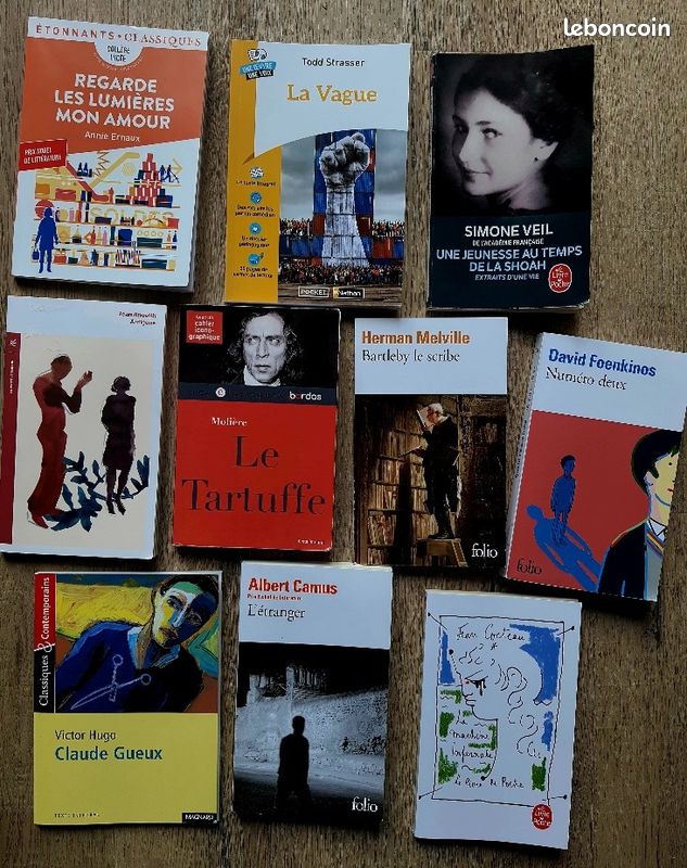 Gros lot de 10 livres en très bon état collège lycée (image 1)