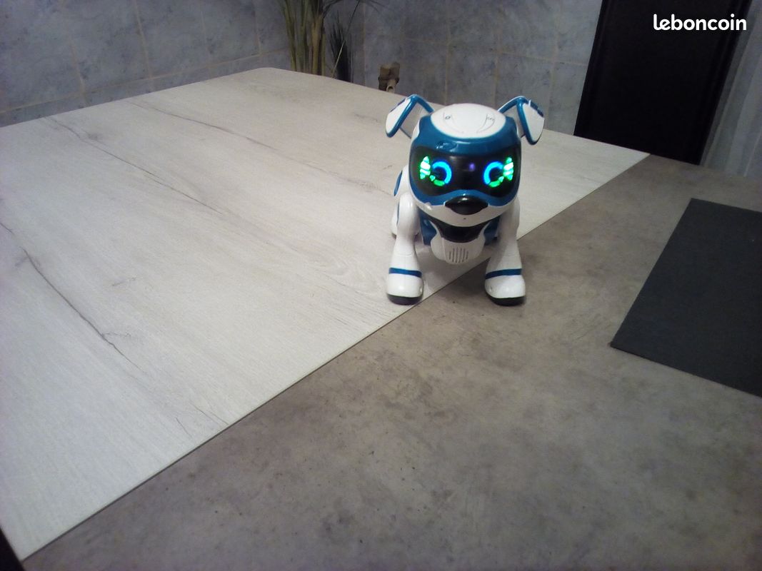 Chien teksta (image 2)