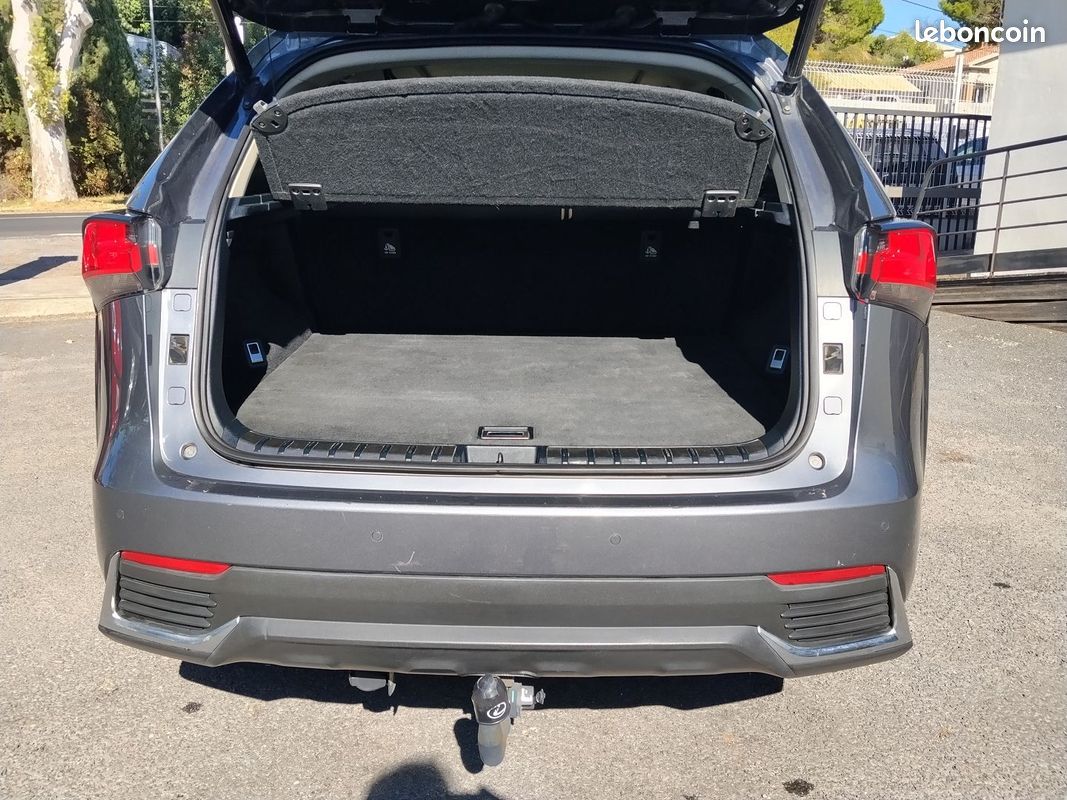 Lexus NX 300H 4WD LUXE (image 7)