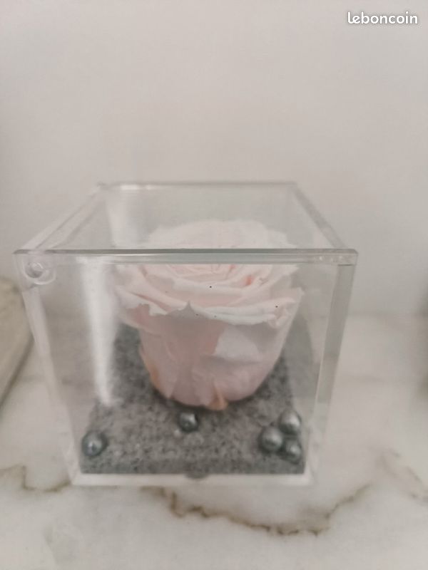 Rose éternelle en coffret (image 3)