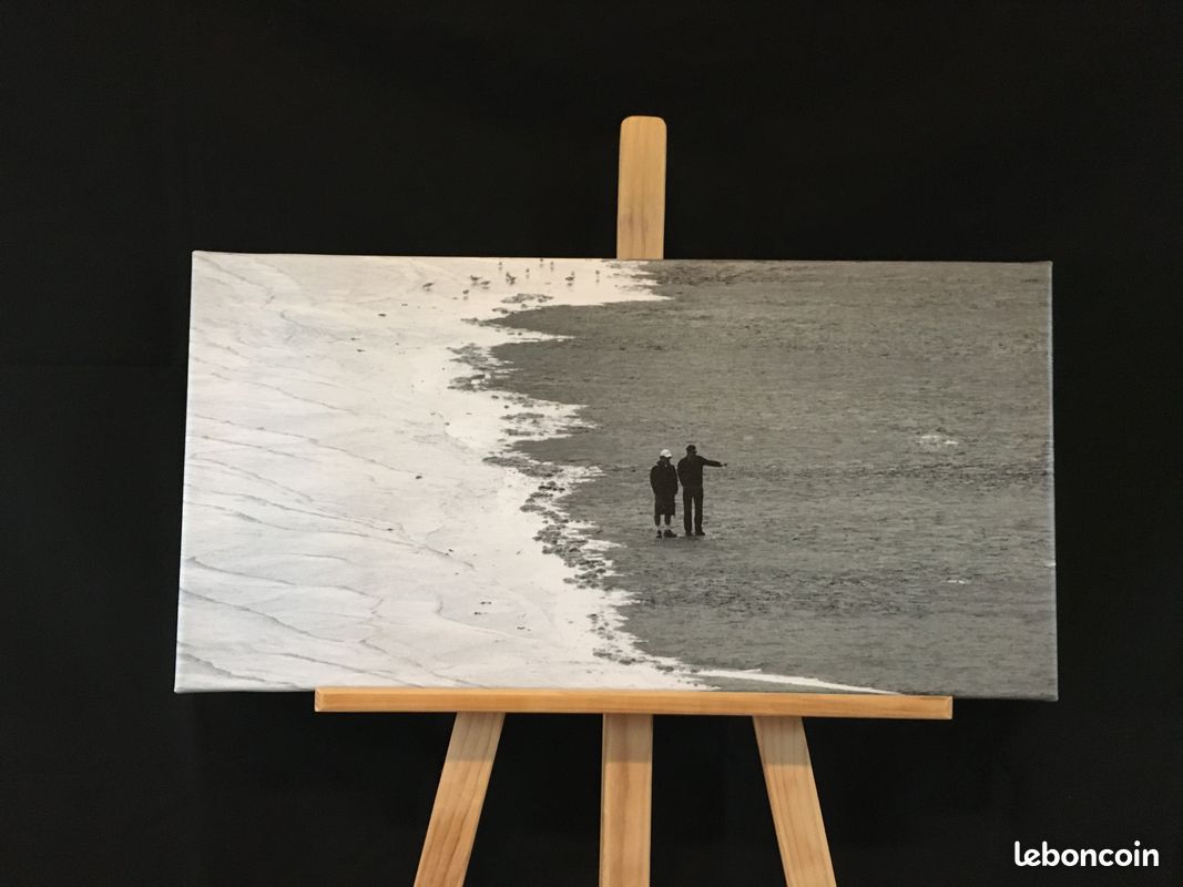 Photos imprimées sur toile cadre bois (image 6)