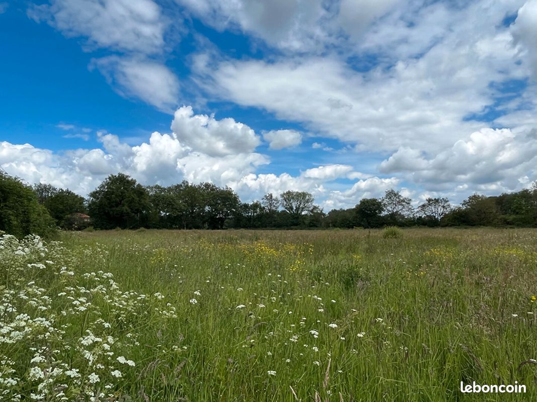 Terrain 1000 m² · à Le Cellier · 1 000 m² · 121 000 €