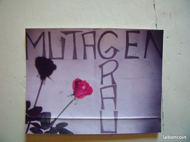 Mutagen Grau cassette Indus (image 5)