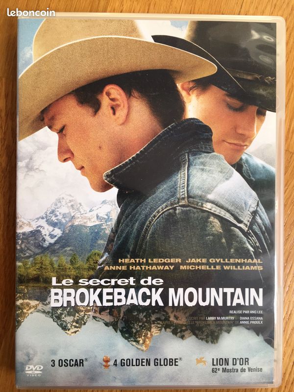 DVD Le secret de Brokeback mountain (image 1)