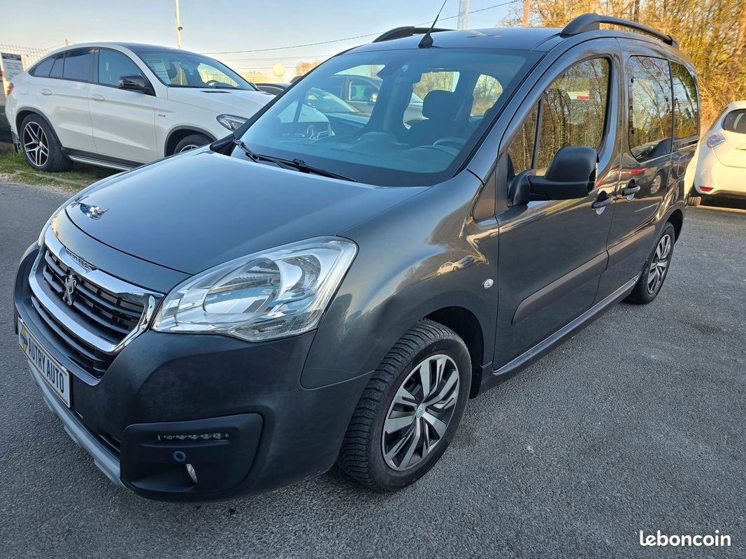 Peugeot Partner Tepee 1.6 hdi 100cv (image 1)