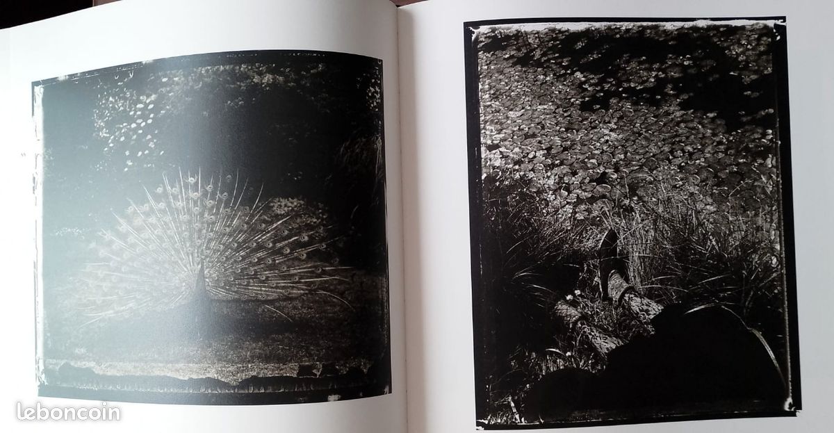 Coïncidences Sarah Moon 1ere édition (image 2)