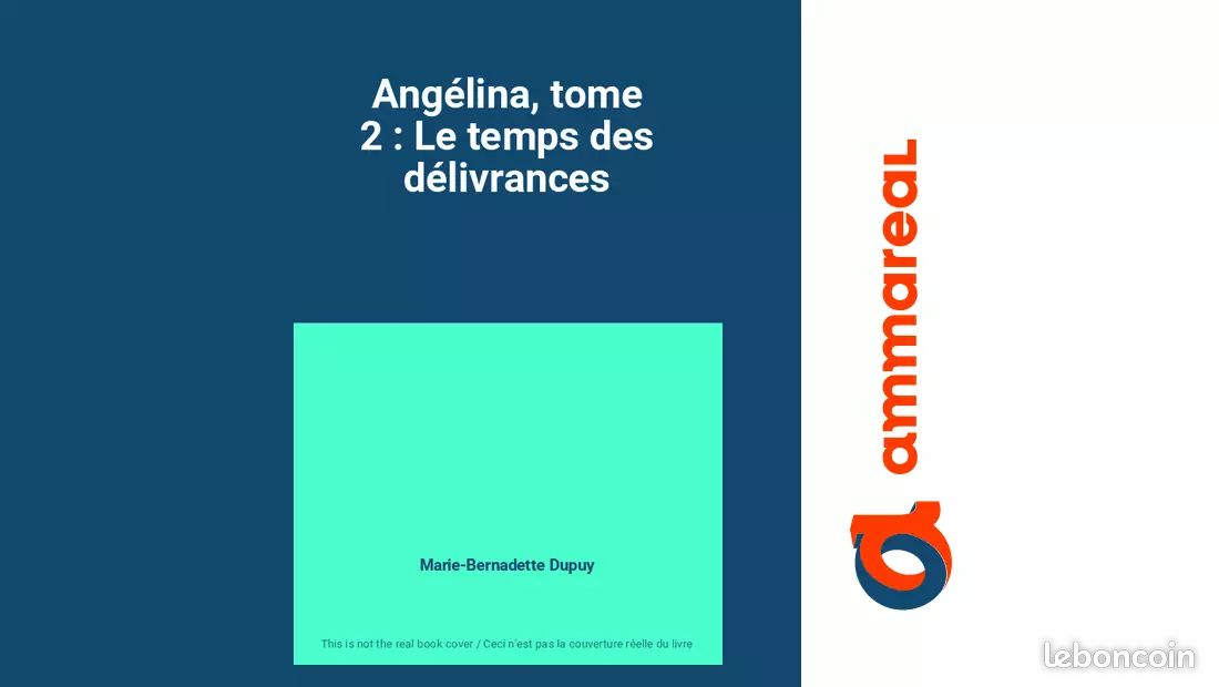 Angélina, tome 2 : Le temps des délivrances - Marie-Bernadette Dupuy (image 1)