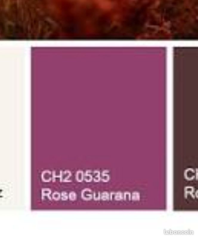Pot peinture Gori Rose Guarana CH2 0535 4L restants (image 5)