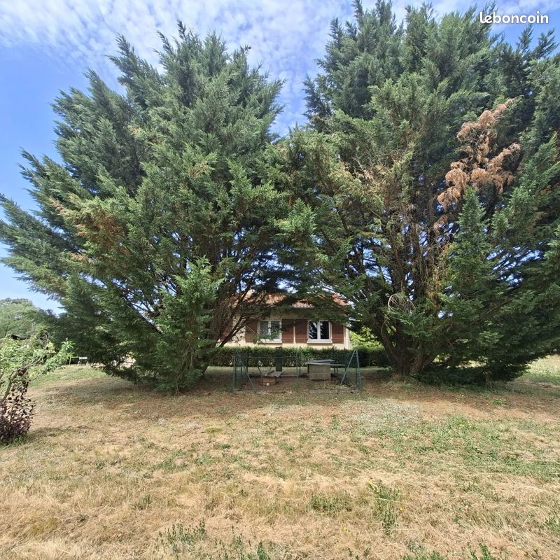 Maison 5 pièces 114 m² · à Montredon-Labessonnié · 114 m² · 161 000 €