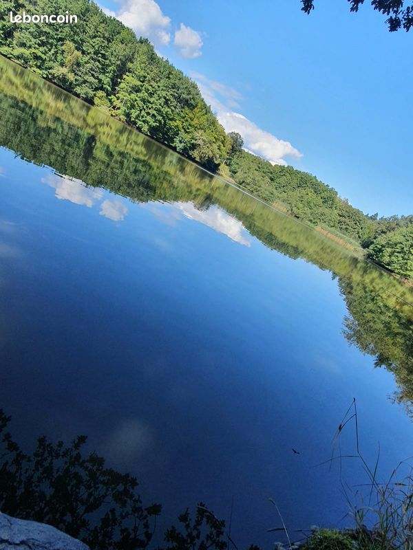 Étang de 4 hectares sur terrain de 6 hectares · à Étueffont · 160 000 €