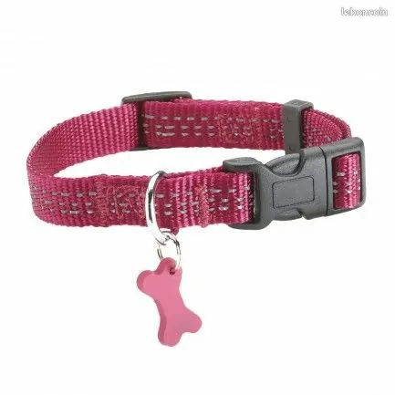 Collier réfléchissant Safe fushia taille XS pour chien NEUF Bobby (image 1)