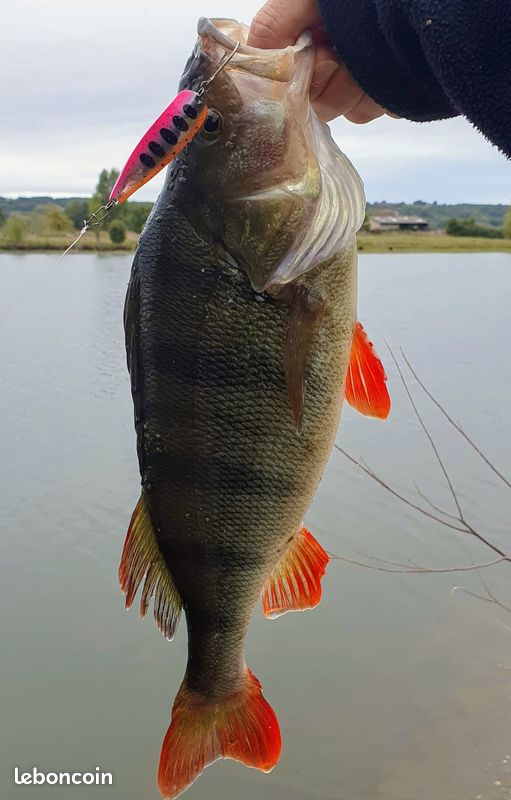 TRUSCEND Leurres de pêche avec cuillères doubles uniques, leurres de pêche à queue de coq nano