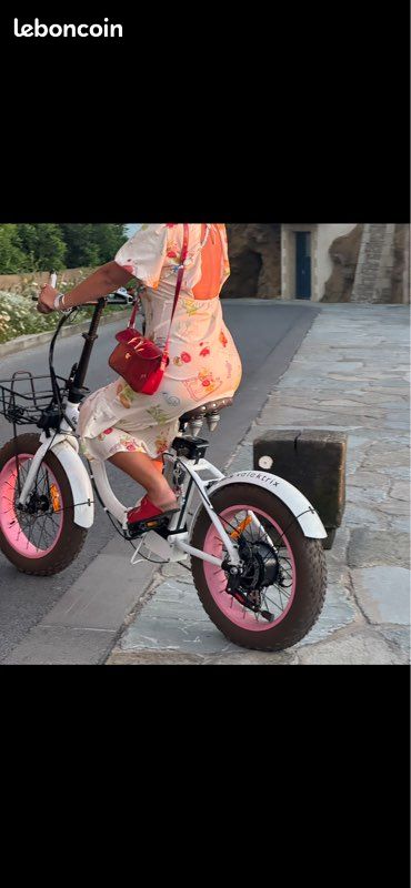 Vélo électrique Velektrix (image 1)
