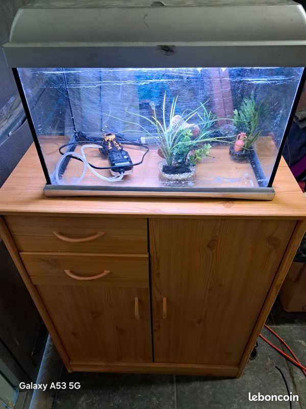 Aquarium (image 2)