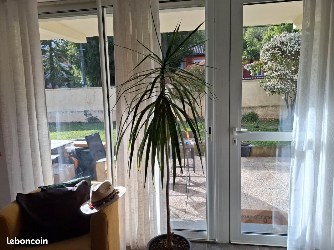 Appartement 3 pièces 62 m² · à Neuville-sur-Saône · 62 m² · 267 000 €
