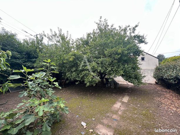Terrain 295 m² ANGERS