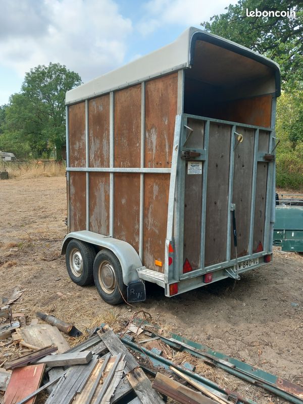 VAN pour 2 chevaux (image 1)