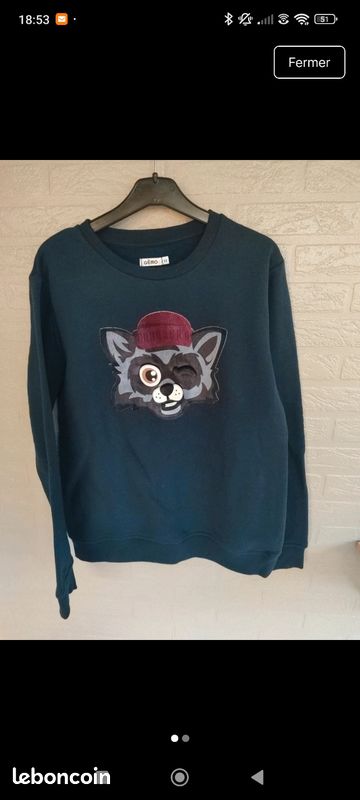 Sweat t 12 ans (image 1)